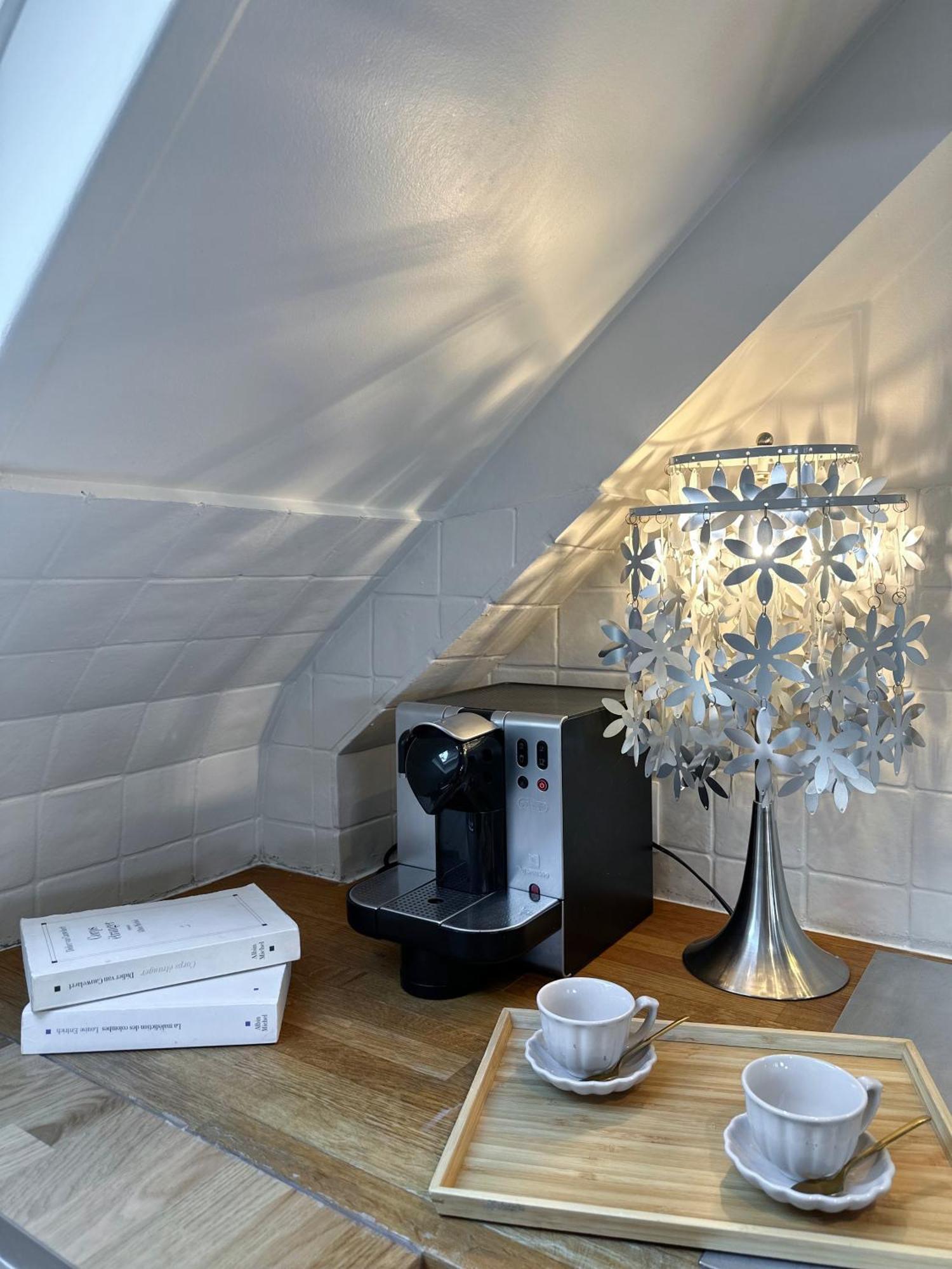 Saint Germain Des Prés - Amazing Duplex - 2066